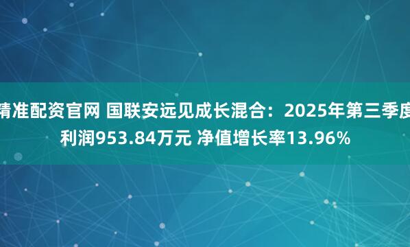 精准配资官网 国联安远见成长混合：2025年第三季度利润953.84万元 净值增长率13.96%