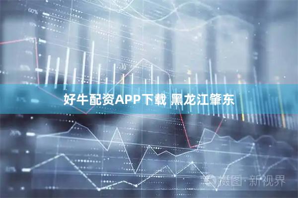 好牛配资APP下载 黑龙江肇东