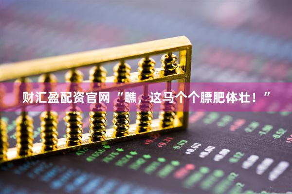 财汇盈配资官网 “瞧，这马个个膘肥体壮！”