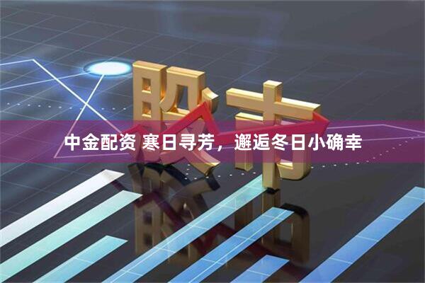 中金配资 寒日寻芳，邂逅冬日小确幸