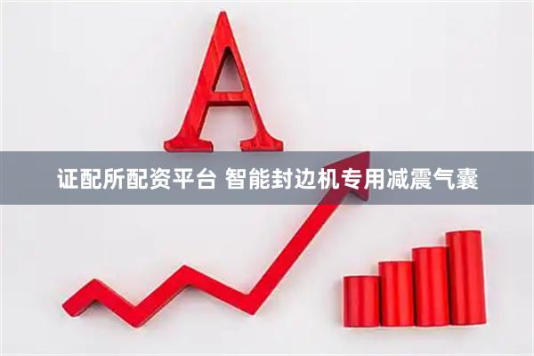 证配所配资平台 智能封边机专用减震气囊