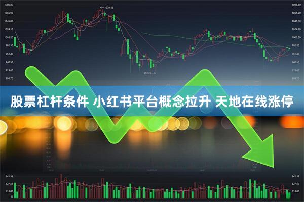 股票杠杆条件 小红书平台概念拉升 天地在线涨停